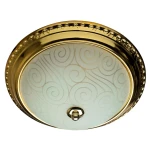 Фото Потолочный светильник Arte Lamp ALTA A3013PL-2GO