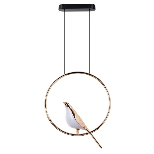 Фото Подвесной светильник Divinare OPHELIA 1188/01 SP-9