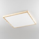 Фото 2 CL738K502V Бейсик Клен Св-к Накл. LED 50W*Мульти