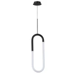 Фото Подвесной светильник Arte lamp LUMINO A2233SP-20BK