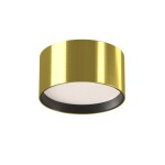 Фото 7 Потолочный светильник Technical C091CL-12W4K-BS