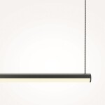 Фото 1 Подвесной светильник Maytoni MOD246PL-L24BK