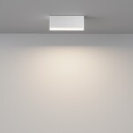 Фото 1 Потолочный светильник Technical C068CL-12W3-6K-W