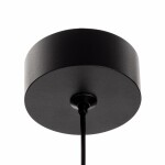 Фото 3 CL002P11 Hardy Черный Св-к Подвес