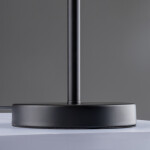 Фото 2 Настольный светильник Freya FR4008TL-02BBS