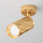 Фото 5 Потолочный светильник Technical C034CL-01G