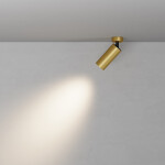 Фото 2 Потолочный светильник Technical C017CW-01MG-N
