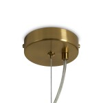 Фото 5 Подвесной светильник Freya FR5482PL-01BS2