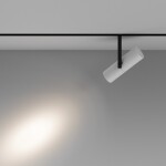 Фото 1 Трековый светильник Technical TR005-2-12W4K-BW