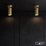 Фото 3 Настенно-потолочный светильник iLamp PLUM 8861C BRASS&BLACK