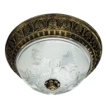 Фото Потолочный светильник Arte Lamp PIATTI A8005PL-2BN