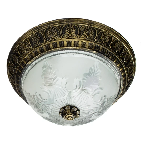 Фото Потолочный светильник Arte Lamp PIATTI A8005PL-2BN