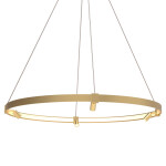 Фото 5 Подвесной светильник MD2047-1L rose gold