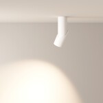 Фото 3 Потолочный светильник Technical C027CL-L10W4K