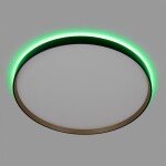 Фото 3 CL750501R ETALON Черный+Золото с пультом и RGB