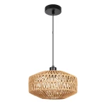 Фото Подвесной светильник Arte Lamp BRUSHWOOD A7087SP-1BK