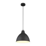Фото Подвесной светильник Arte Lamp BRACCIO A2055SP-1BK