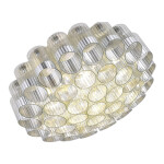 Фото 2 SL1662.102.19 Светильник потолочный ST-Luce Никель/Никель, Прозрачный E14 19*60W АККОРД