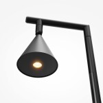 Фото 3 Напольный светильник (торшер) Maytoni MOD489FL-L20B3K