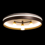 Фото 3 Потолочный светильник