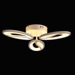 Фото 5 Люстра  424018003