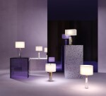 Фото 1 Настольный светильник Maytoni Z030TL-01BS2