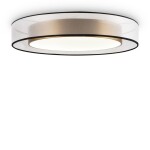 Фото 1 Потолочный светильник Freya FR6005CL-L48G