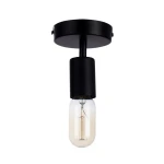 Фото Потолочный светильник Arte Lamp FUORI A9184PL-1BK