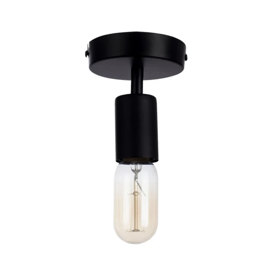 Фото Потолочный светильник Arte Lamp FUORI A9184PL-1BK