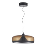 Фото 3 SL6014.603.01 Светильник подвесной ST-Luce Черный/Коричневый, с пузырьками LED 1*42W 3000K РИПЛ