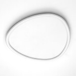 Фото 5 Потолочный светильник