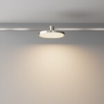 Фото 1 Трековый светильник Technical TR153-1-10W3K-PT