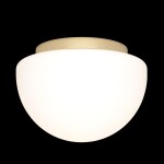 Фото 1 Потолочный светильник Maytoni MOD270CL-01G