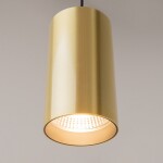 Фото 3 Подвесной светильник Technical P100PL-20W3K-BS