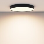 Фото 1 Потолочный светильник Technical C032CL-90W3K-RD-B