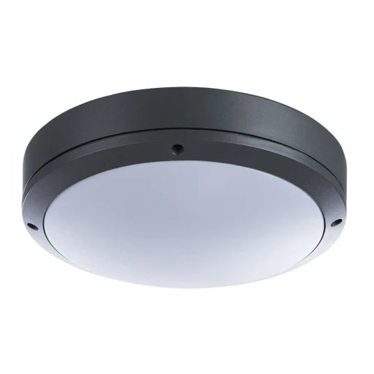 Фото Уличный потолочный светильник Arte Lamp CITY A8154PF-2GY
