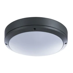 Фото Уличный потолочный светильник Arte Lamp CITY A8154PF-2GY
