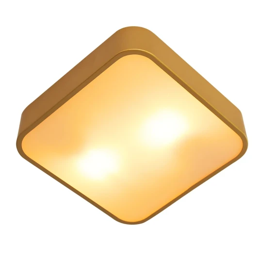 Фото Потолочный светильник Arte Lamp COSMOPOLITAN A7210PL-2GO