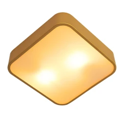 Фото Потолочный светильник Arte Lamp COSMOPOLITAN A7210PL-2GO