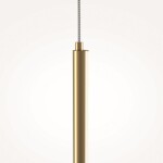 Фото 1 Подвесной светильник Maytoni MOD246PL-L24BSK1