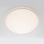 Фото 3 CL749500 NORMA Белый с пультом и RGB