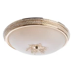 Фото Потолочный светильник Arte Lamp VASSOIO A9205PL-5GO