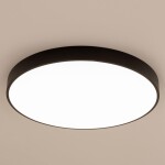 Фото 1 CL724105G1 Купер Черный Св-к Потол. с RGB