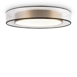 Фото 3 Потолочный светильник Freya FR6005CL-L48G