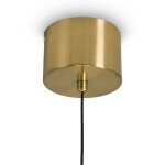 Фото 5 Подвесной светильник Freya FR6184PL-L16BS