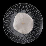 Фото 1 Бра Crystal Lux CONTESSA AP2.1