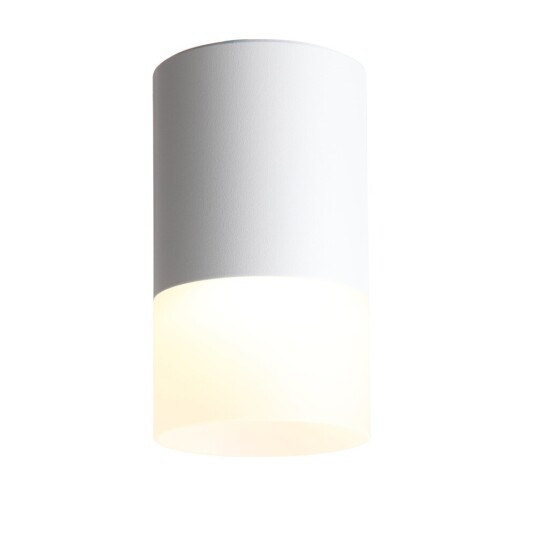 Фото ST100.502.05 Светильник потолочный Белый LED 1*5W 3000K 390Lm Ra>80 120° D64xH110 170-240V Накладные светильники