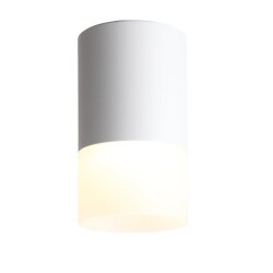 Фото ST100.502.05 Светильник потолочный Белый LED 1*5W 3000K 390Lm Ra>80 120° D64xH110 170-240V Накладные светильники