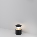 Фото 1 Ландшафтный светильник Outdoor O496FL-L21B3K