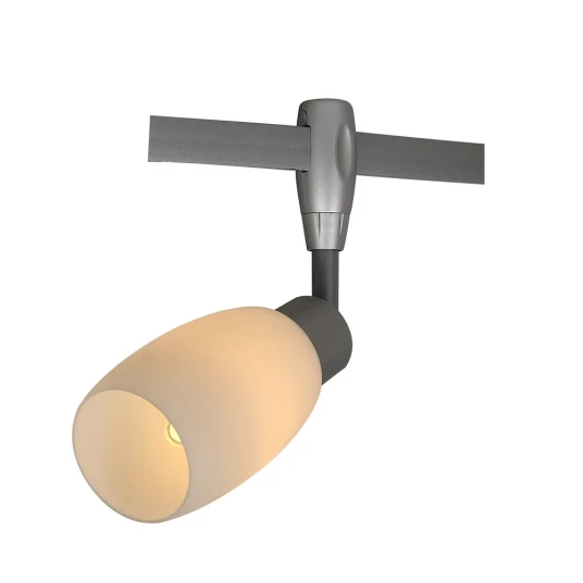 Фото Трековый светильник Arte Lamp RAILS HEADS A3059PL-1SI